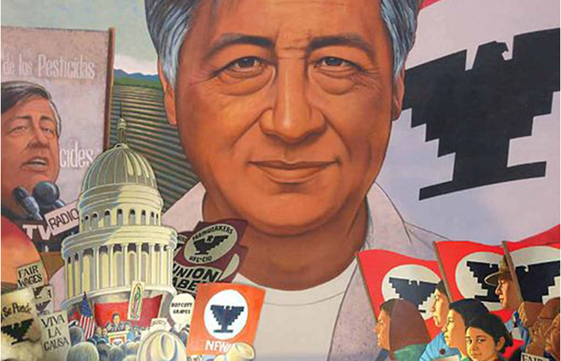 cesar chavez collage