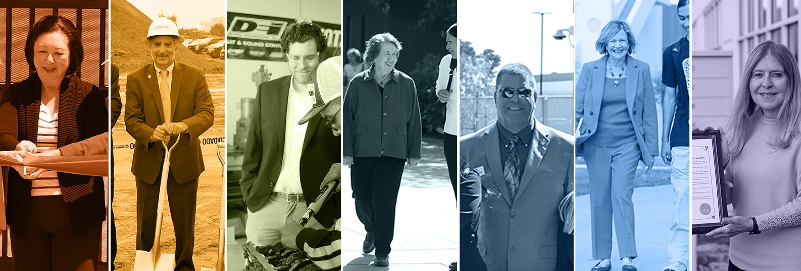 seven board members in action