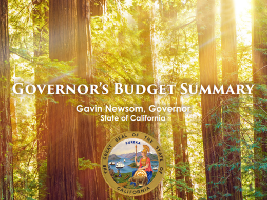 governor's budget