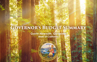 governor's budget