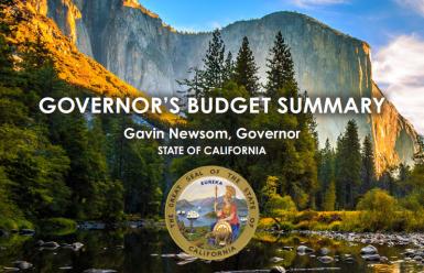 image of CA forests with text, "2024-25 Governor's Budget Summary, Gavin Newsom, Governor STATE OF CALIFORNIA"
