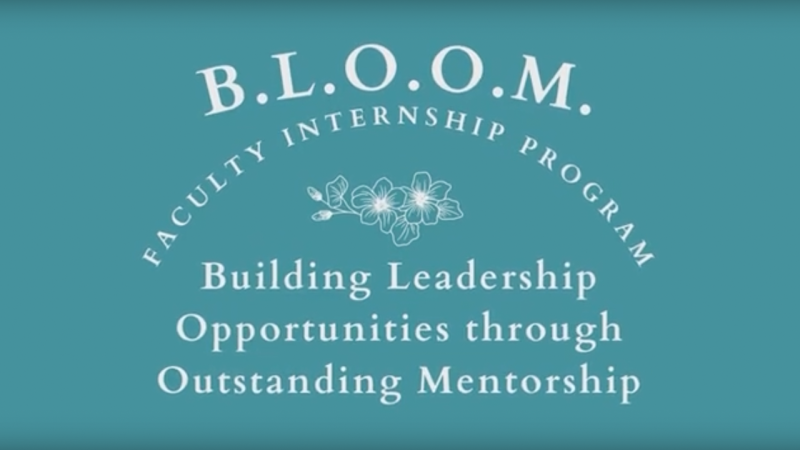 BLOOM Facilty Internship Program